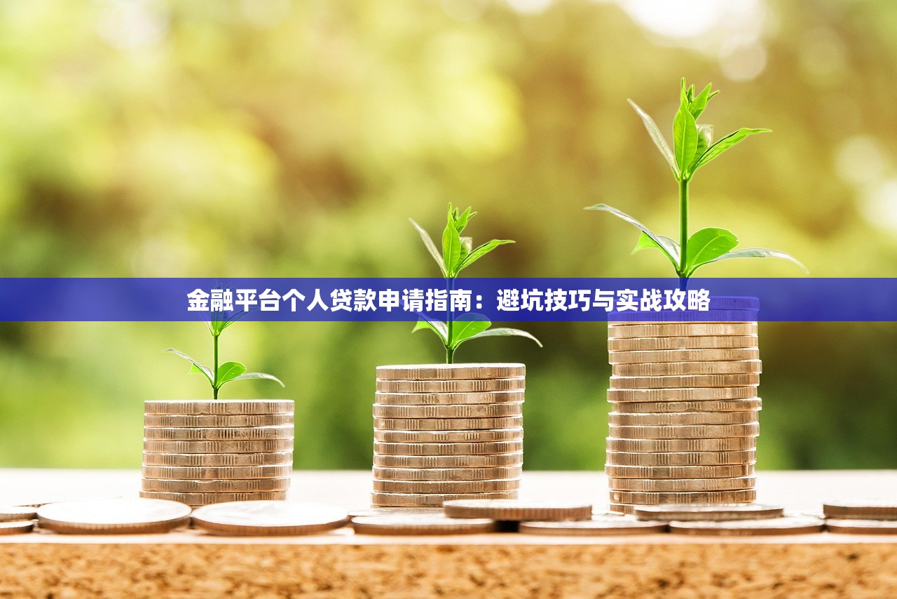 金融平台个人贷款申请指南：避坑技巧与实战攻略
