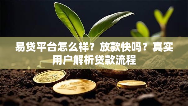 易贷平台怎么样？放款快吗？真实用户解析贷款流程