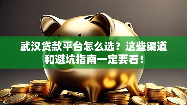 武汉贷款平台怎么选？这些渠道和避坑指南一定要看！
