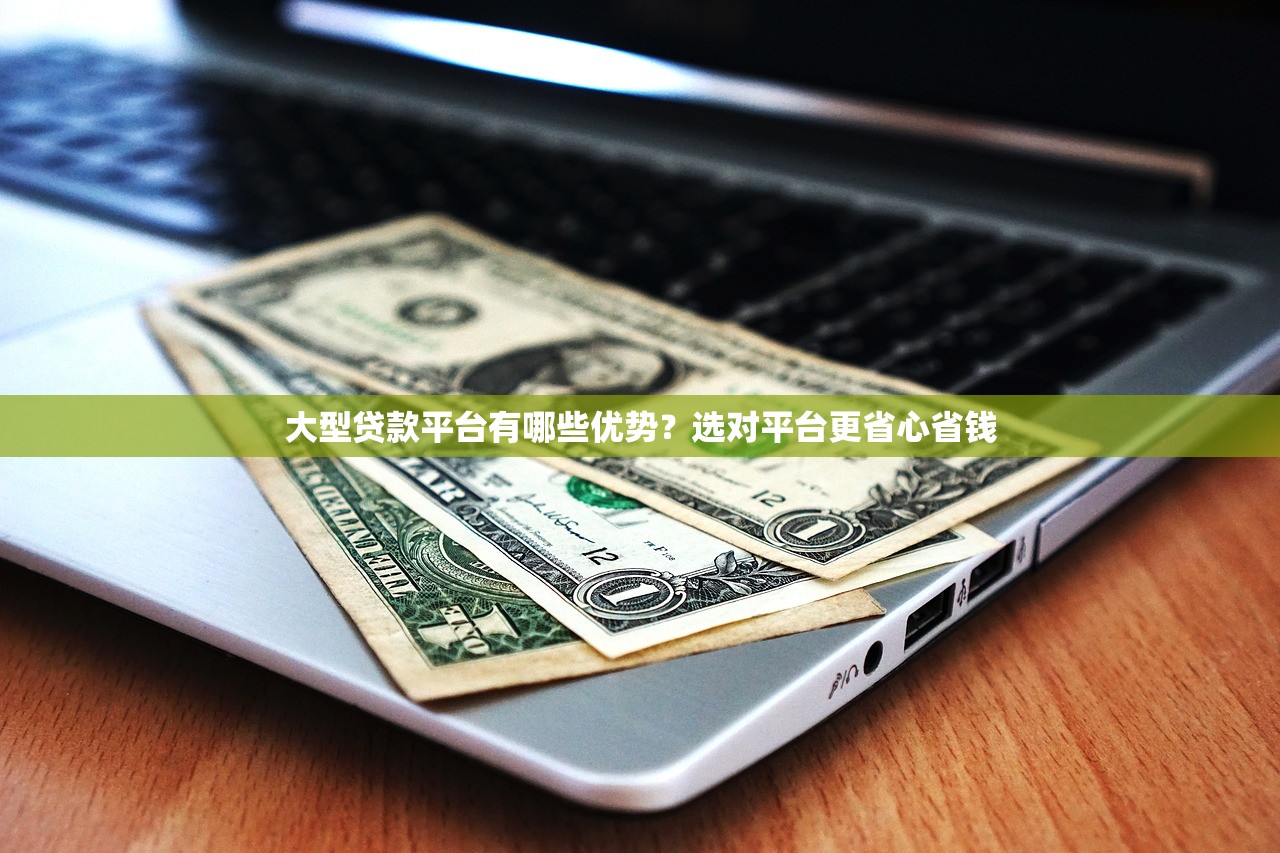 大型贷款平台有哪些优势？选对平台更省心省钱