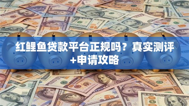 红鲤鱼贷款平台正规吗？真实测评+申请攻略