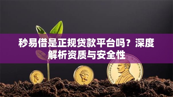秒易借是正规贷款平台吗?深度解析资质与安全性 秒易借是正规贷款平台吗?深度解析资质与安全性