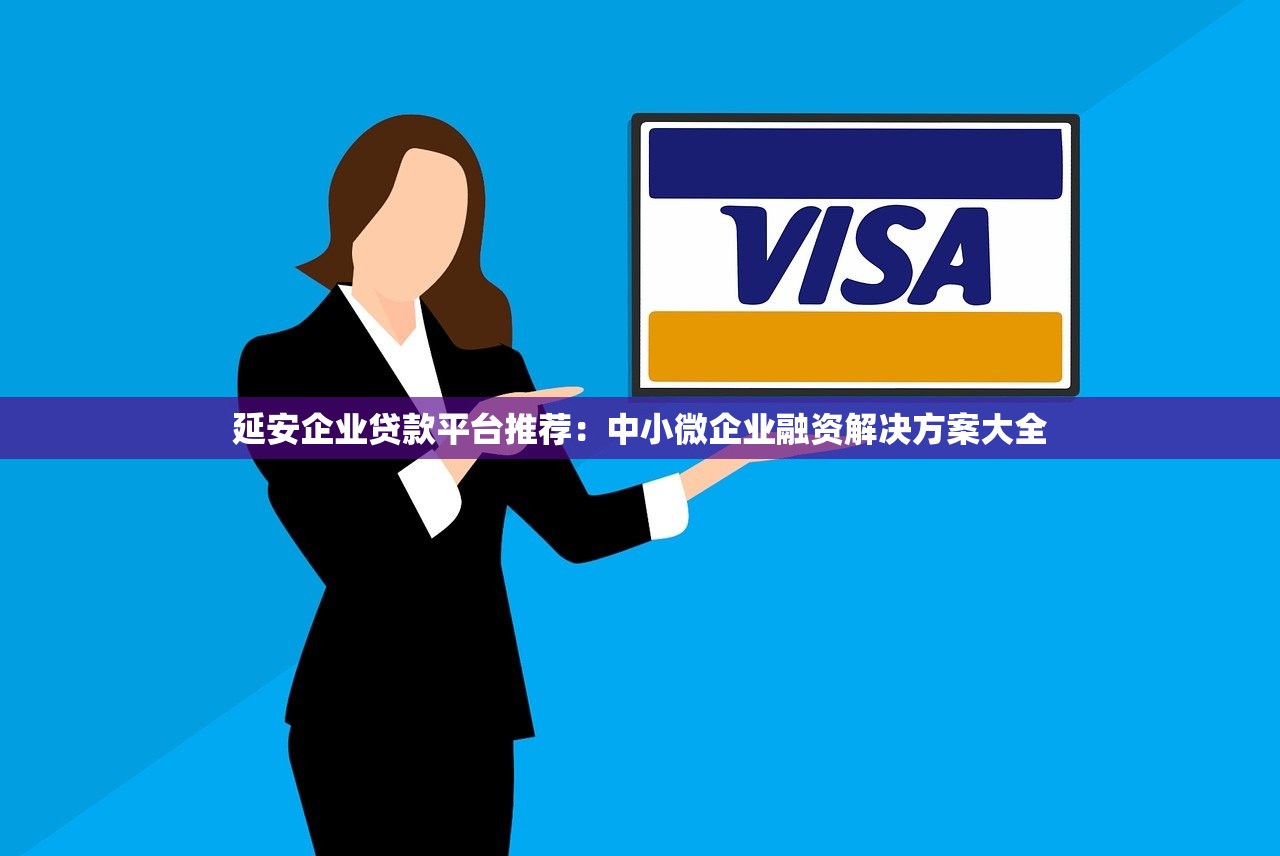 延安企业贷款平台推荐：中小微企业融资解决方案大全