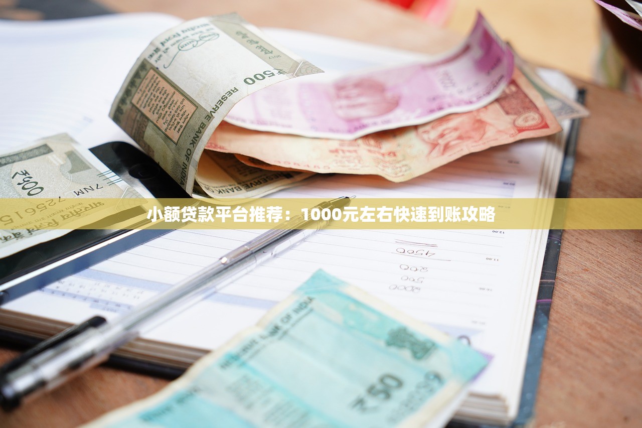 小额贷款平台推荐：1000元左右快速到账攻略