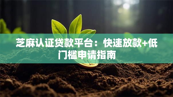 芝麻认证贷款平台：快速放款+低门槛申请指南