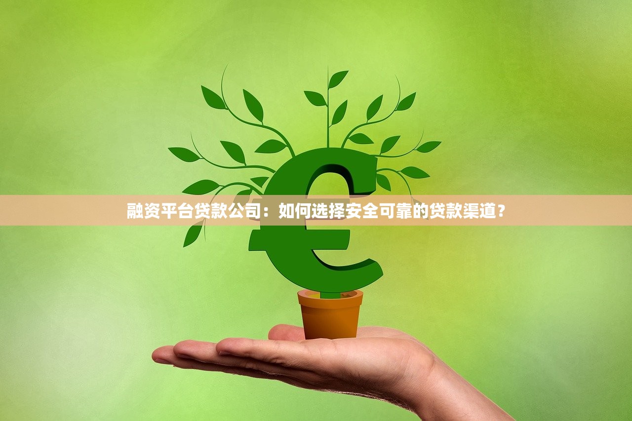 融资平台贷款公司：如何选择安全可靠的贷款渠道？