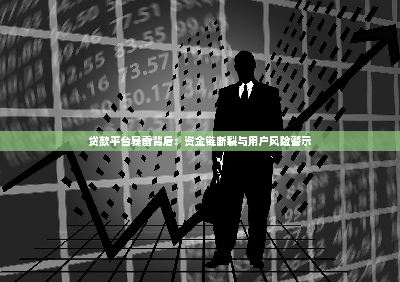 贷款平台暴雷背后：资金链断裂与用户风险警示