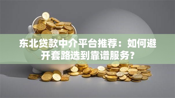 东北贷款中介平台推荐：如何避开套路选到靠谱服务？