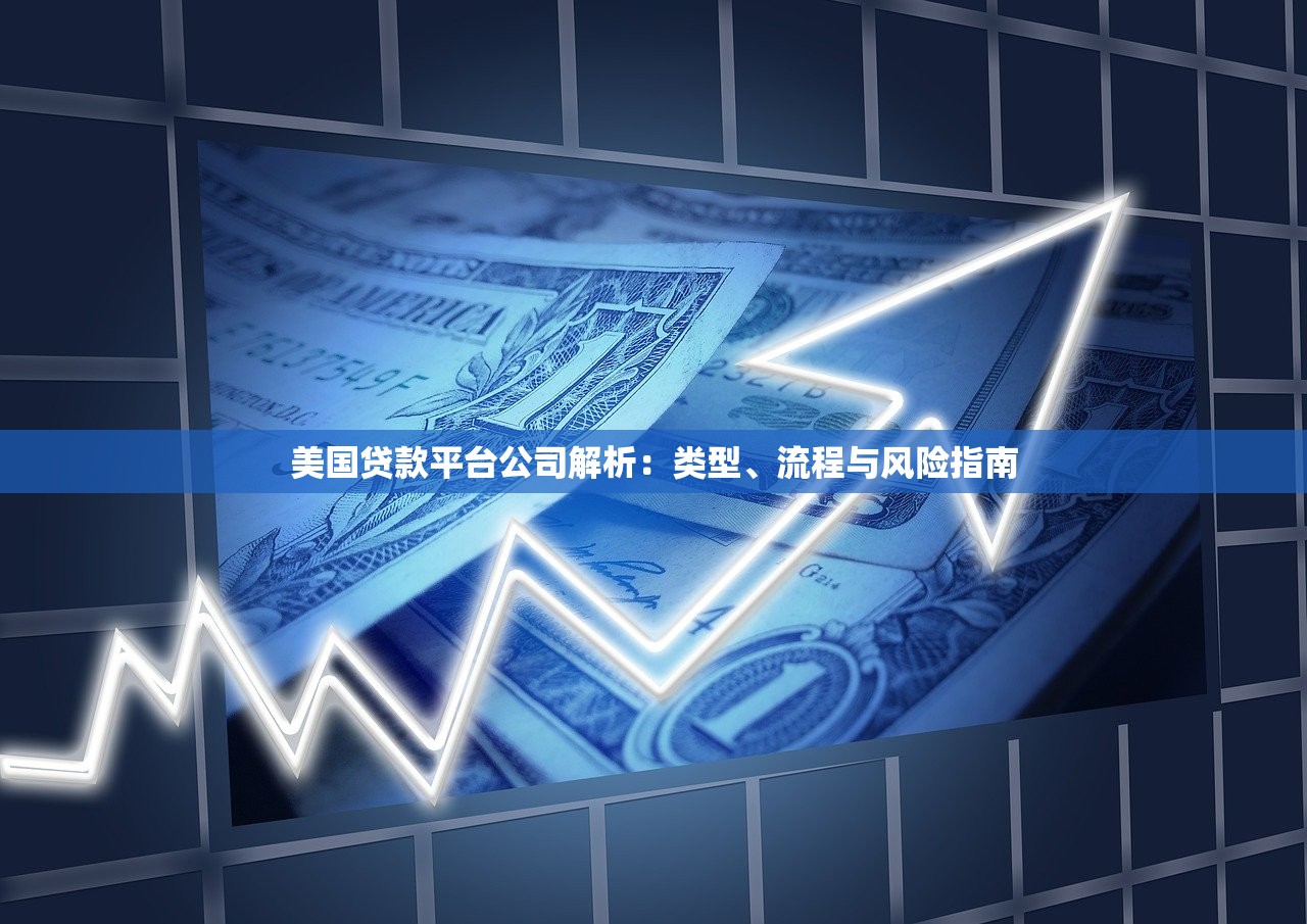 美国贷款平台公司解析：类型、流程与风险指南