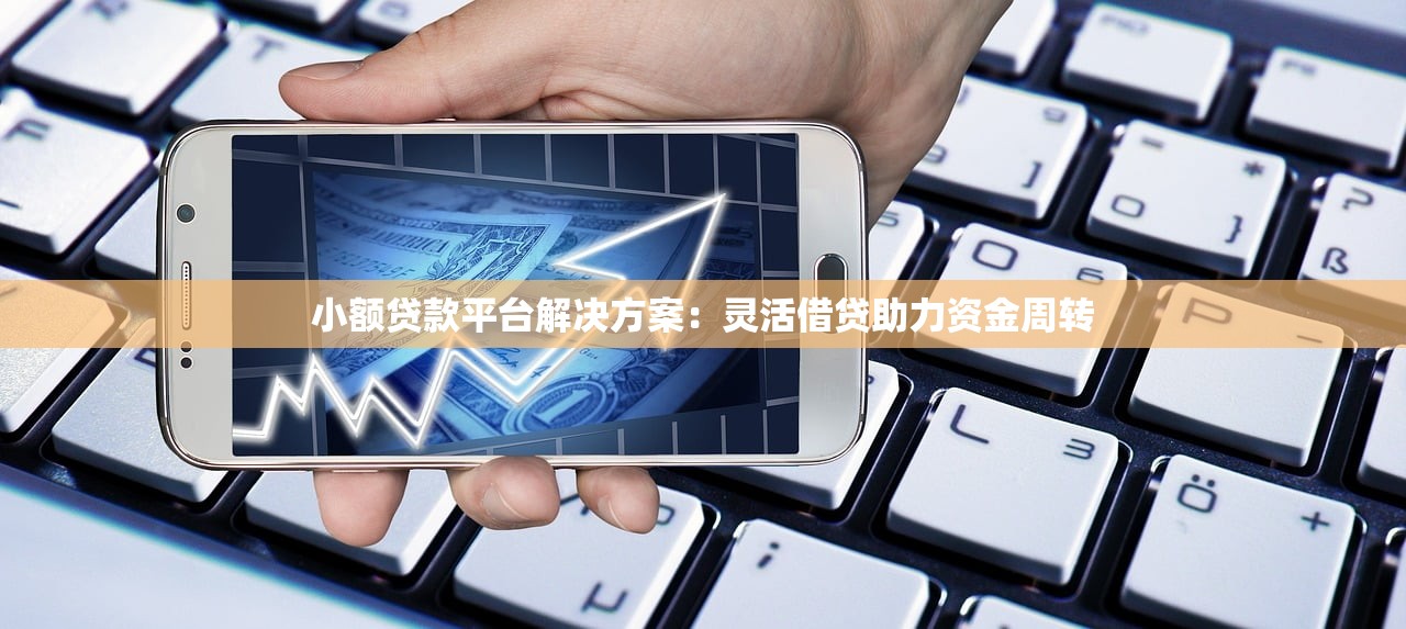 小额贷款平台解决方案：灵活借贷助力资金周转