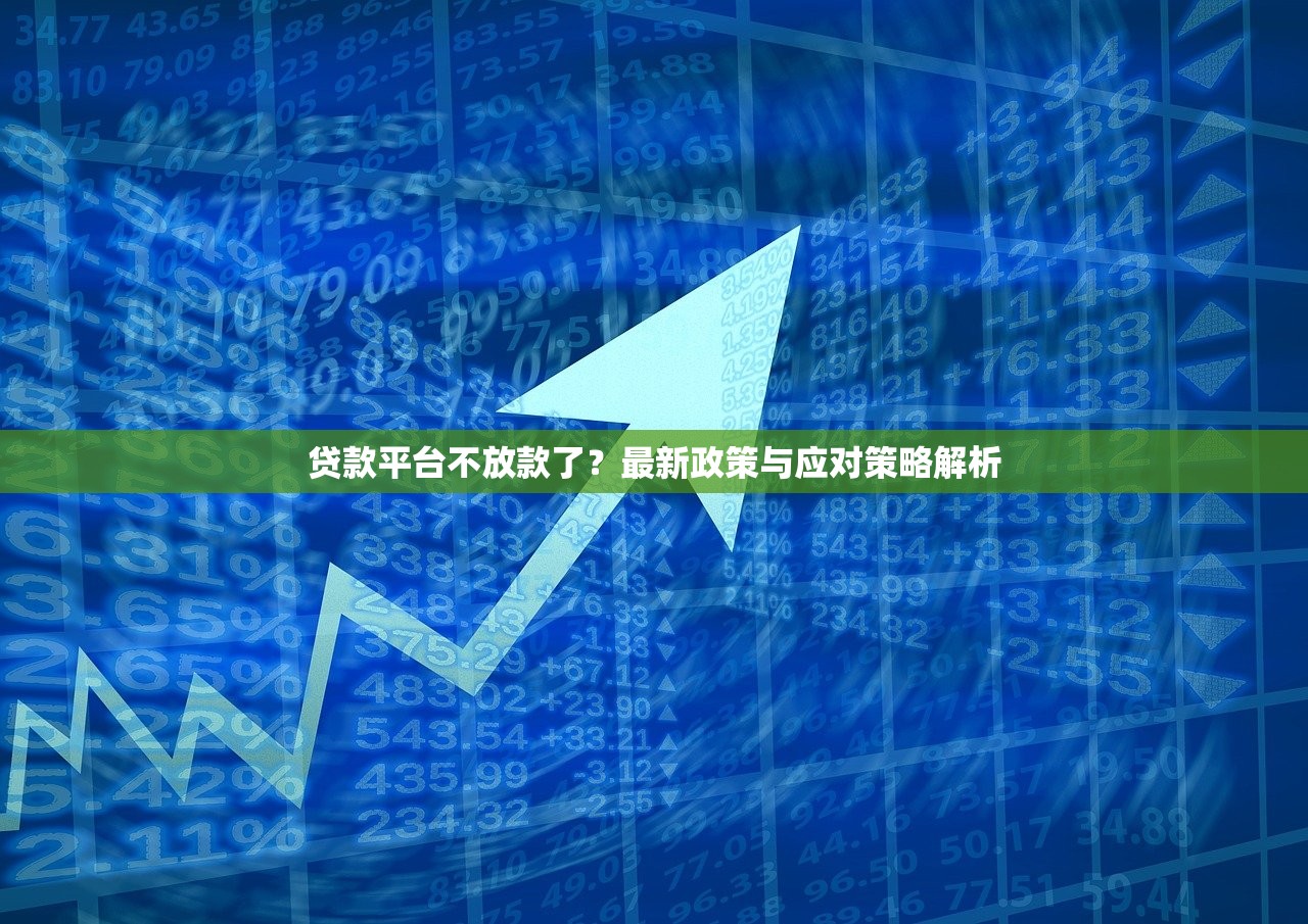 贷款平台不放款了?最新政策与应对策略解析 贷款平台不放款了?最新政策与应对策略解析