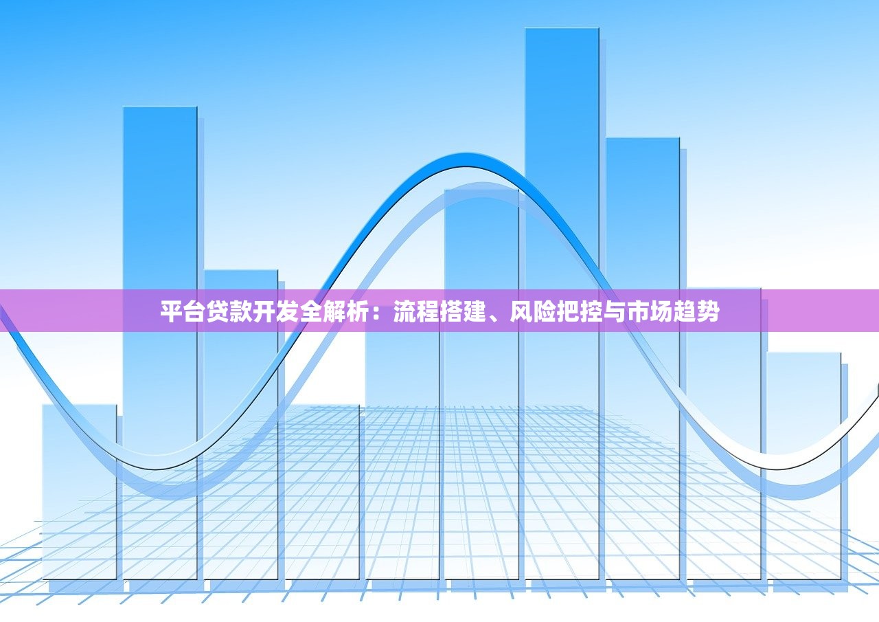 平台贷款开发全解析：流程搭建、风险把控与市场趋势