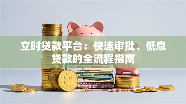 立时贷款平台：快速审批、低息贷款的全流程指南