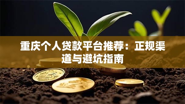 重庆个人贷款平台推荐：正规渠道与避坑指南