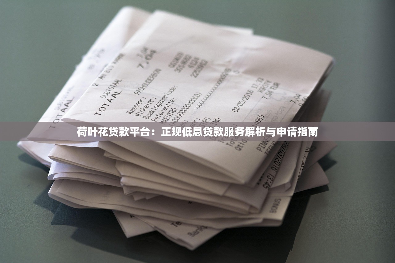 荷叶花贷款平台：正规低息贷款服务解析与申请指南