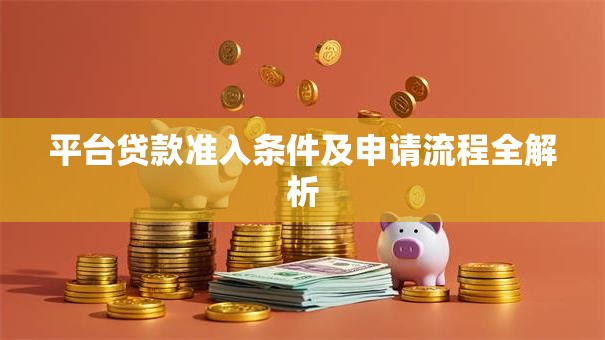 平台贷款准入条件及申请流程全解析