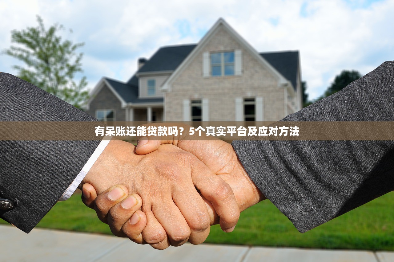 有呆账还能贷款吗？5个真实平台及应对方法