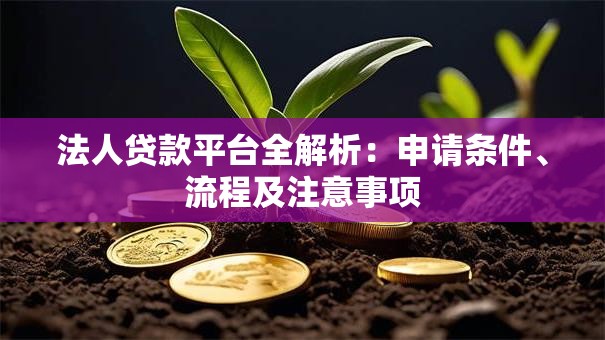 法人贷款平台全解析:申请条件、流程及注意事项 法人贷款平台全解析:申请条件、流程及注意事项