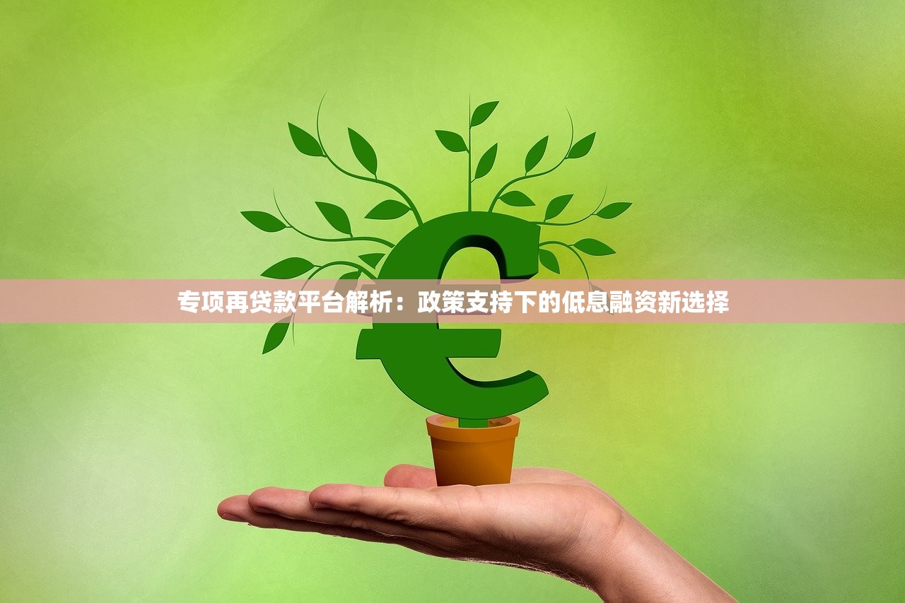 专项再贷款平台解析:政策支持下的低息融资新选择 专项再贷款平台解析:政策支持下的低息融资新选择