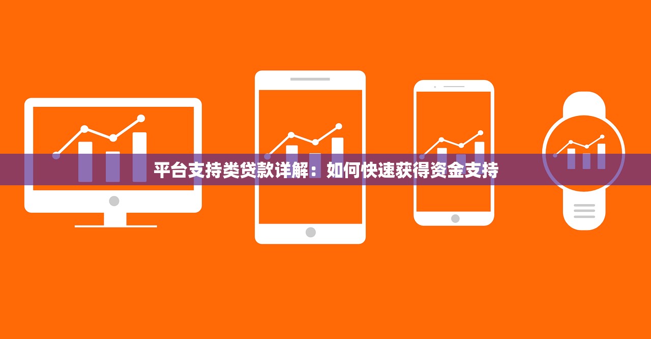 平台支持类贷款详解:如何快速获得资金支持 平台支持类贷款详解:如何快速获得资金支持