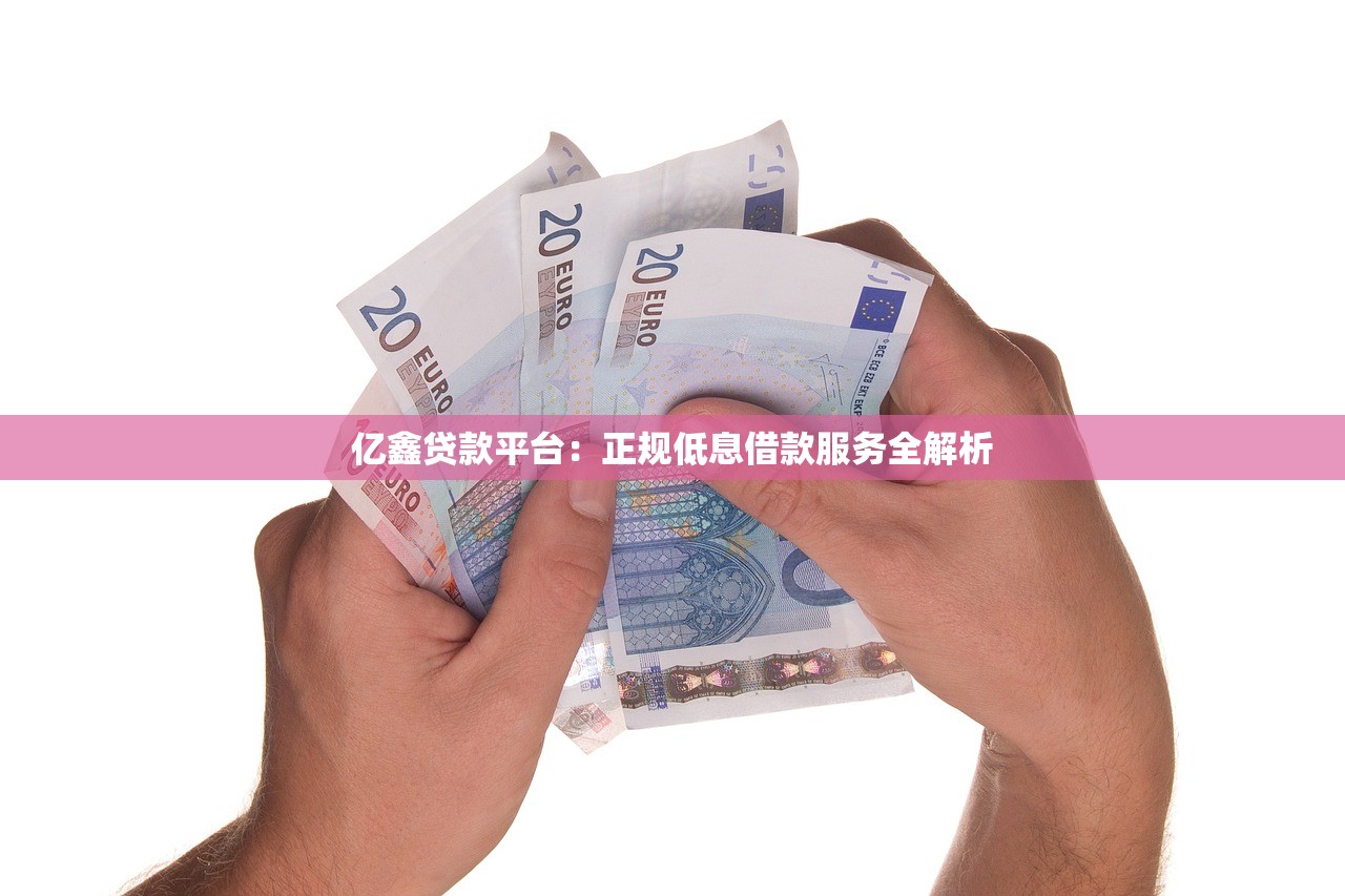 亿鑫贷款平台：正规低息借款服务全解析