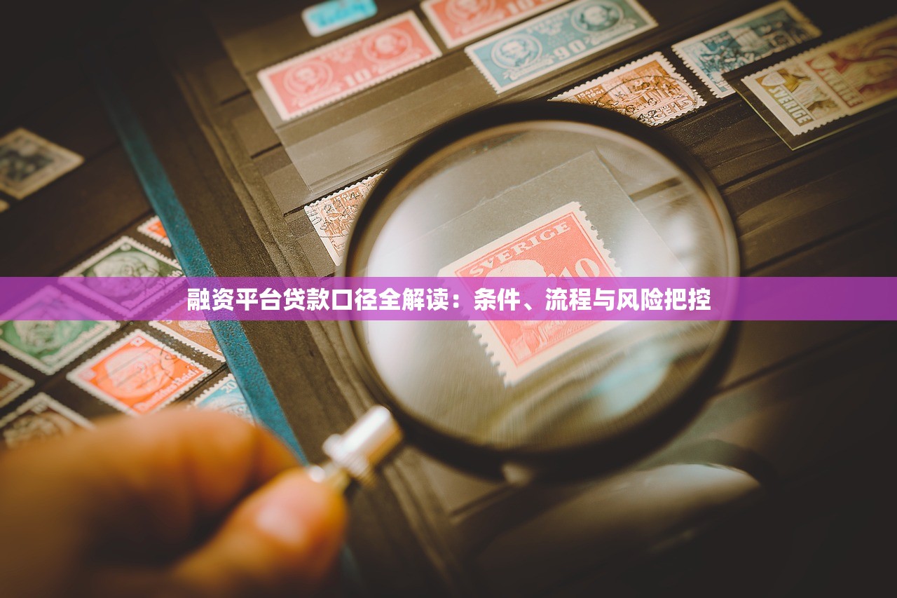 融资平台贷款口径全解读：条件、流程与风险把控