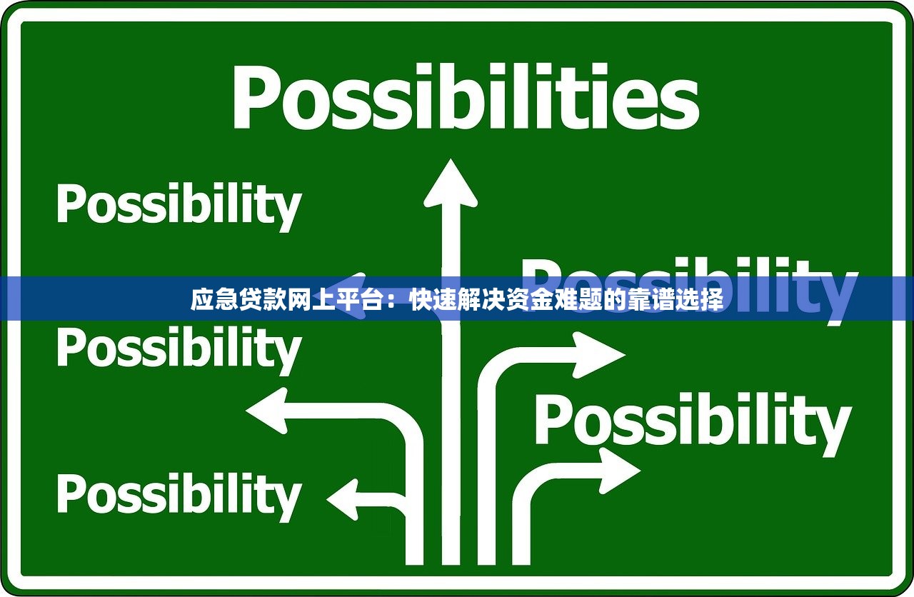 应急贷款网上平台：快速解决资金难题的靠谱选择