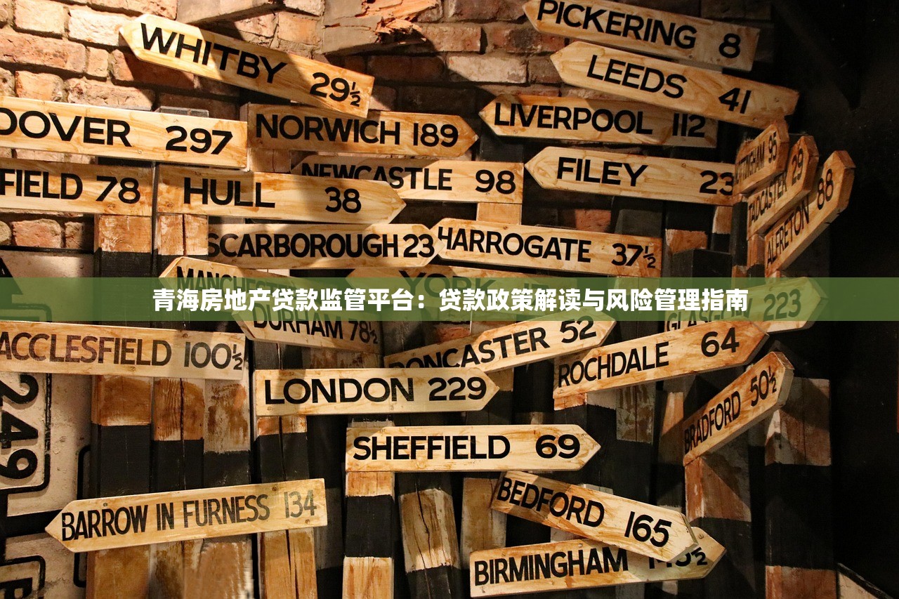 青海房地产贷款监管平台：贷款政策解读与风险管理指南