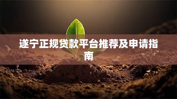 遂宁正规贷款平台推荐及申请指南