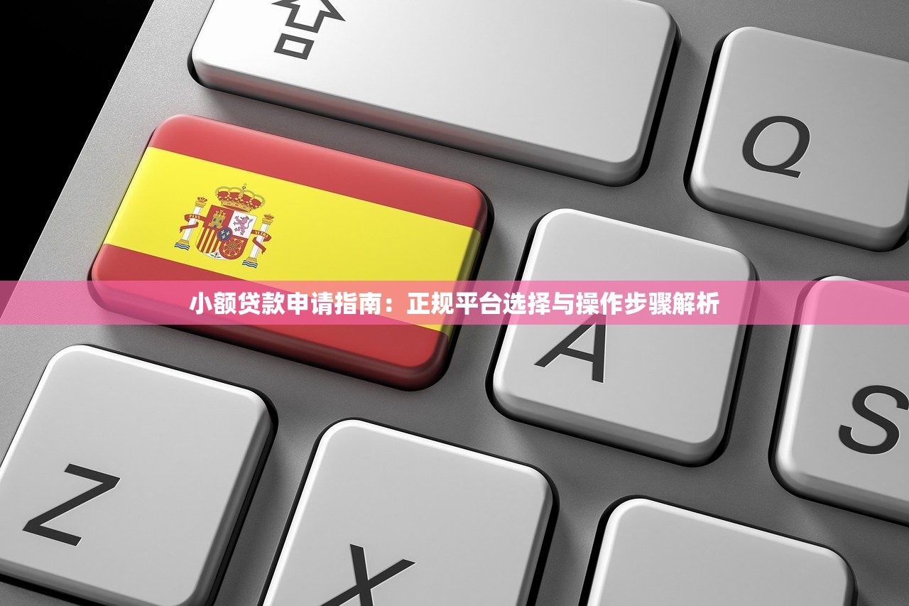 小额贷款申请指南：正规平台选择与操作步骤解析