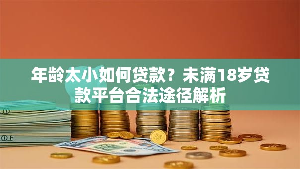 年龄太小如何贷款？未满18岁贷款平台合法途径解析