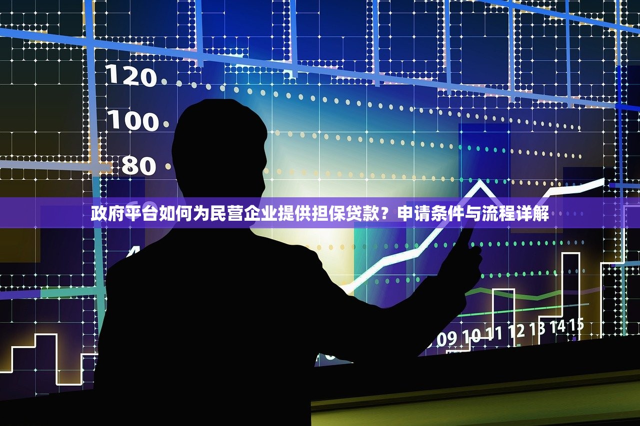 政府平台如何为民营企业提供担保贷款？申请条件与流程详解