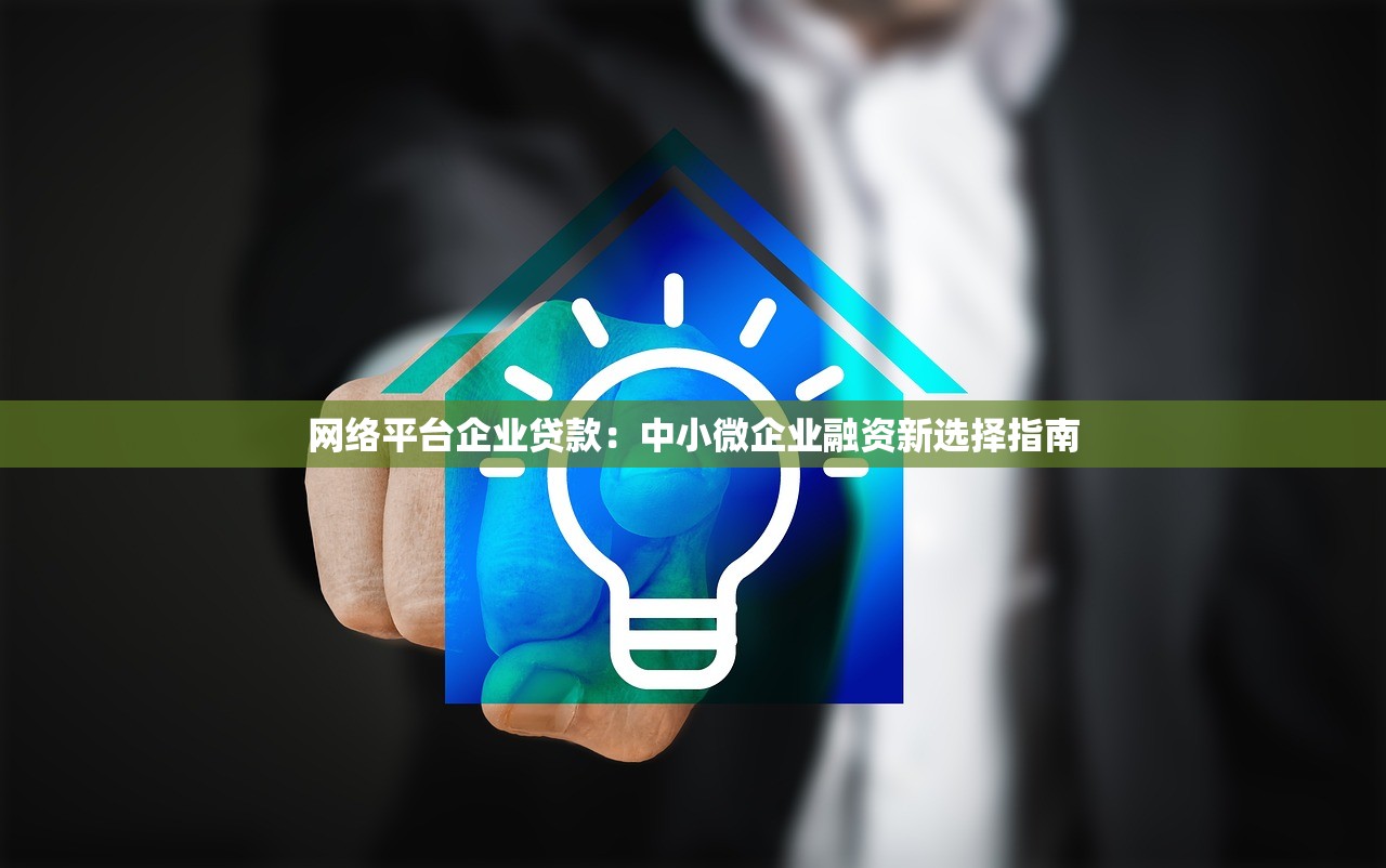 网络平台企业贷款：中小微企业融资新选择指南
