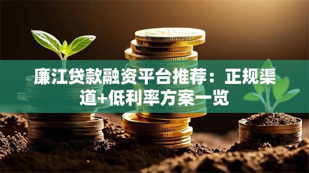 廉江贷款融资平台推荐：正规渠道+低利率方案一览