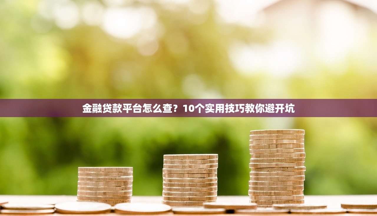 金融贷款平台怎么查?10个实用技巧教你避开坑 金融贷款平台怎么查?10个实用技巧教你避开坑