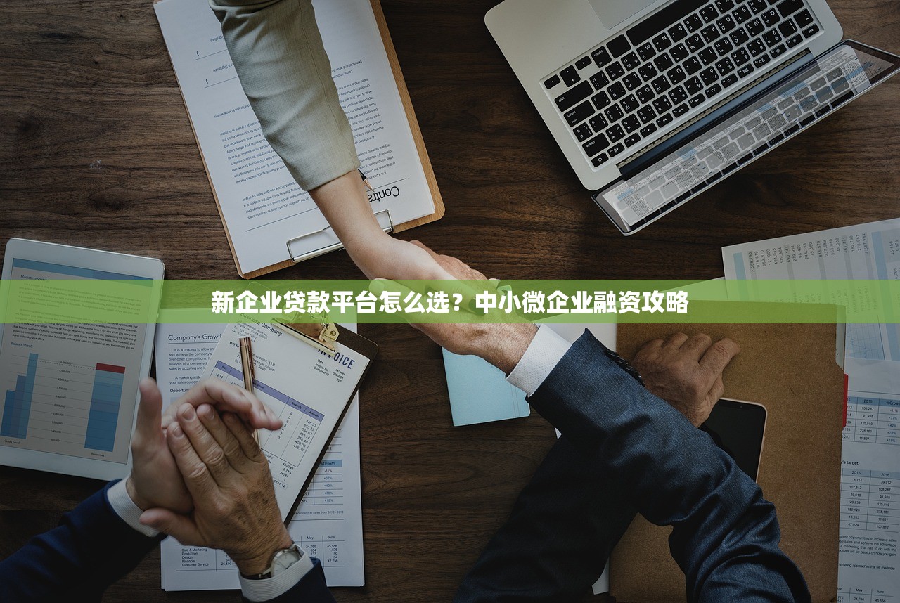 新企业贷款平台怎么选?中小微企业融资攻略 新企业贷款平台怎么选?中小微企业融资攻略