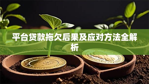 平台贷款拖欠后果及应对方法全解析 平台贷款拖欠后果及应对方法全解析
