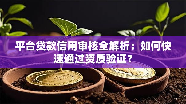 平台贷款信用审核全解析：如何快速通过资质验证？