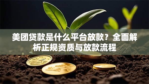 美团贷款是什么平台放款?全面解析正规资质与放款流程 美团贷款是什么平台放款?全面解析正规资质与放款流程