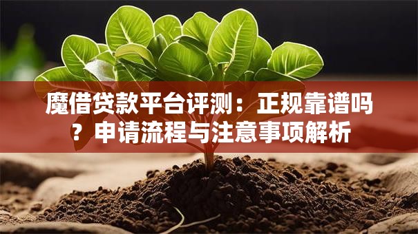 魔借贷款平台评测：正规靠谱吗？申请流程与注意事项解析