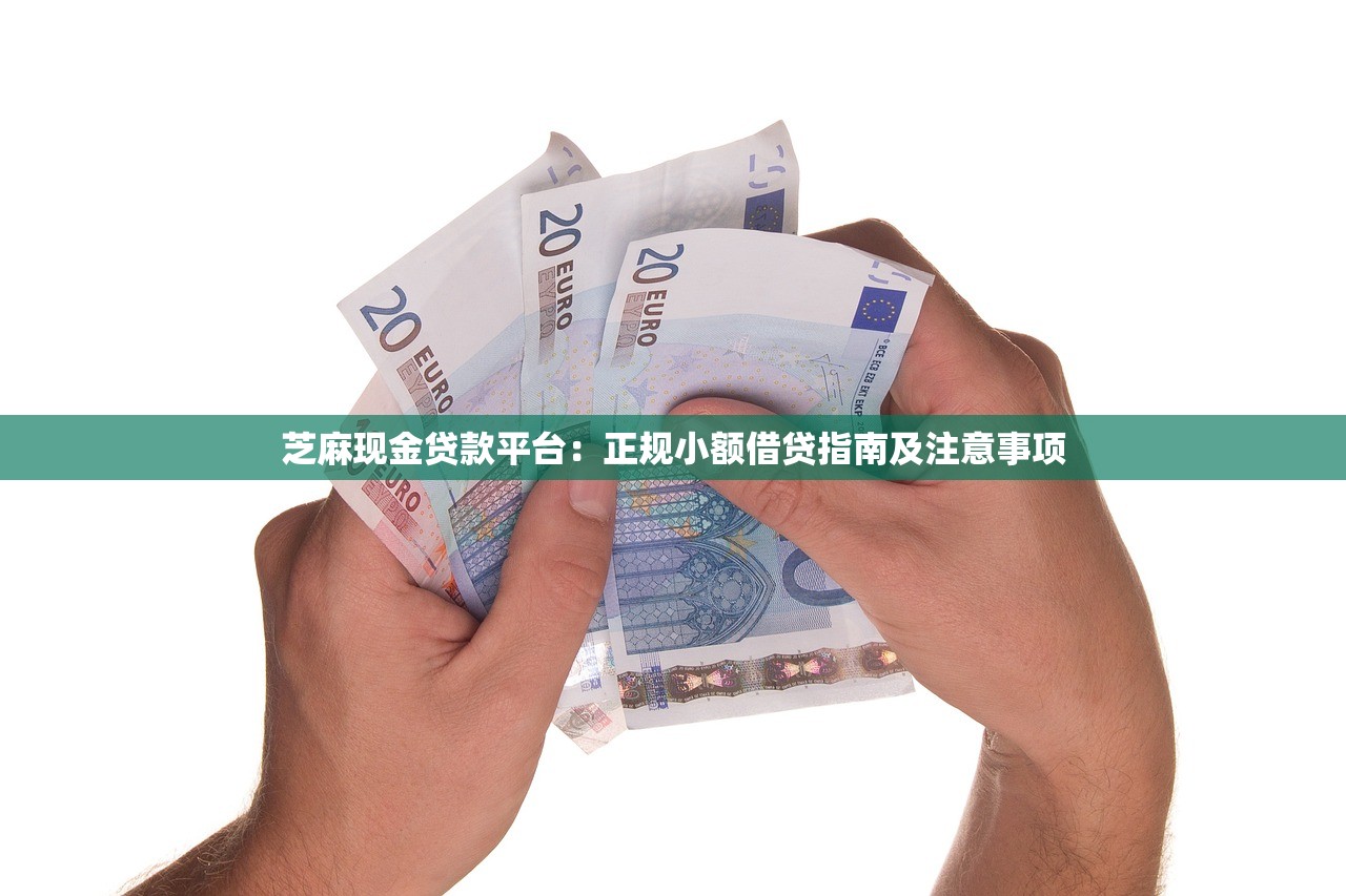 芝麻现金贷款平台：正规小额借贷指南及注意事项