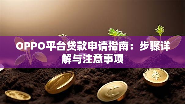 OPPO平台贷款申请指南：步骤详解与注意事项
