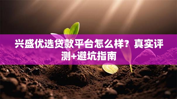 兴盛优选贷款平台怎么样？真实评测+避坑指南