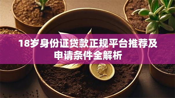 18岁身份证贷款正规平台推荐及申请条件全解析