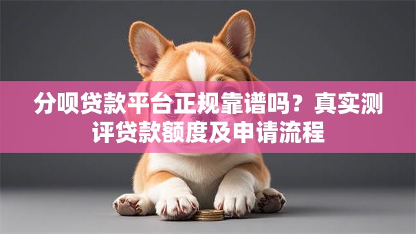 分呗贷款平台正规靠谱吗？真实测评贷款额度及申请流程