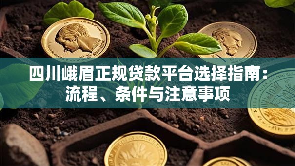 四川峨眉正规贷款平台选择指南:流程、条件与注意事项 四川峨眉正规贷款平台选择指南:流程、条件与注意事项