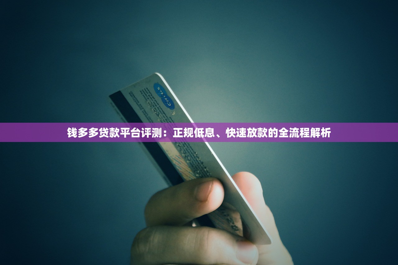 钱多多贷款平台评测：正规低息、快速放款的全流程解析