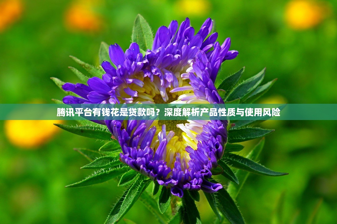 腾讯平台有钱花是贷款吗?深度解析产品性质与使用风险 腾讯平台有钱花是贷款吗?深度解析产品性质与使用风险
