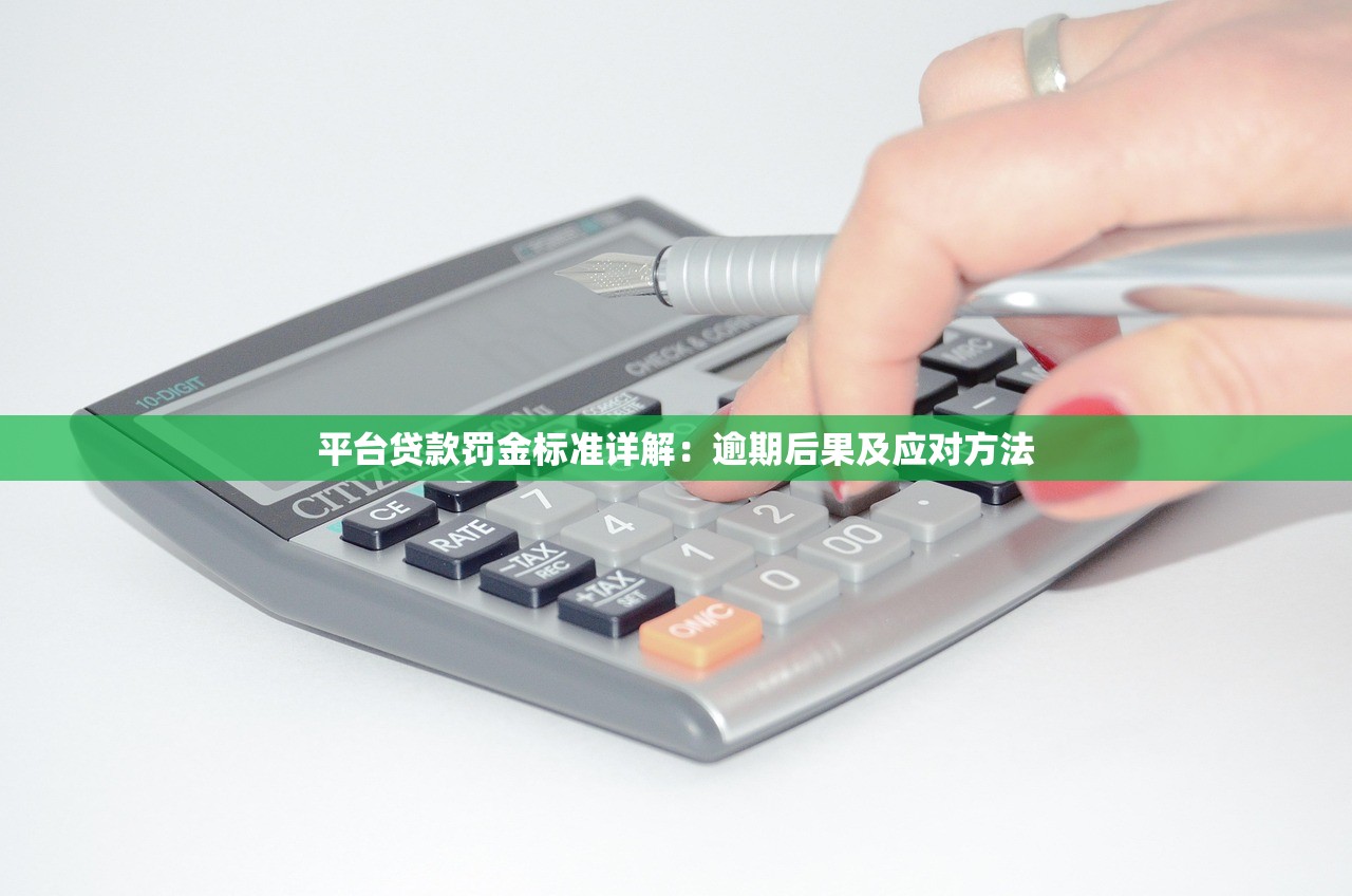 平台贷款罚金标准详解：逾期后果及应对方法
