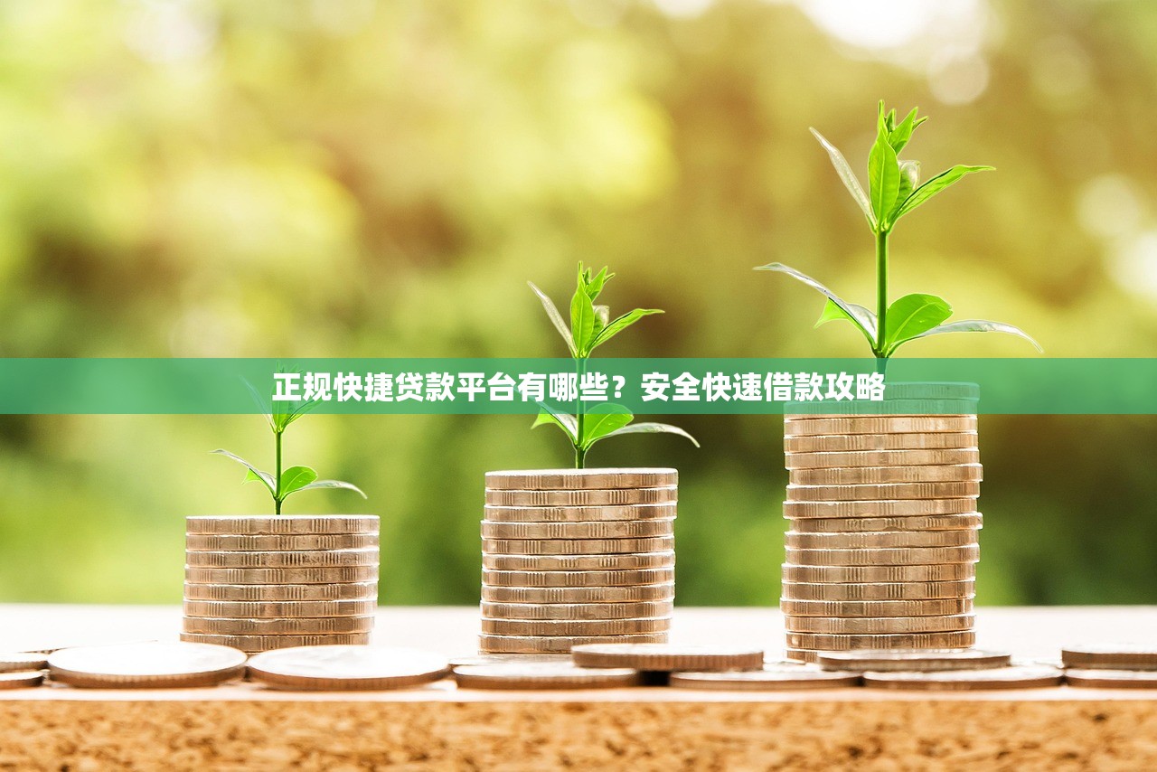 正规快捷贷款平台有哪些？安全快速借款攻略